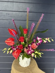 Tropic Spice Tropic Spice