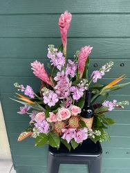 Tropic Beauty Tropic Beauty